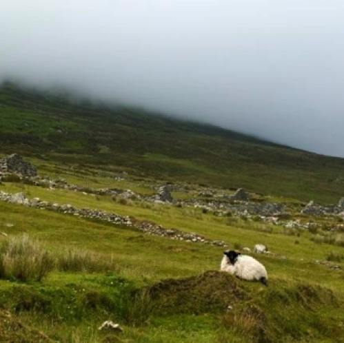 http://www.thephotographer.ie/albums/images/west-of-ireland/Mist%20in%20West%20of%20ireland_g2it5.jpg